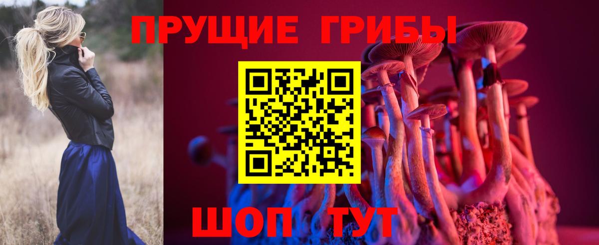 Галлюциногенные грибы ЛСД  Вход с VPN  Псилоцибиновые грибы прущие грибы  Великий Устюг 